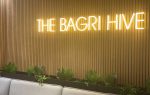 image of the Bagri Hive entrance