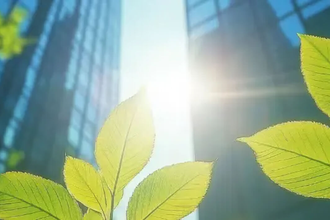 Endow a high-profile lecture series in sustainability