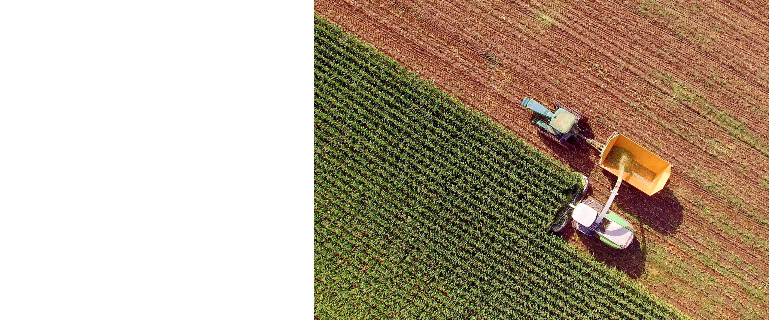 Advancing Sustainability banner