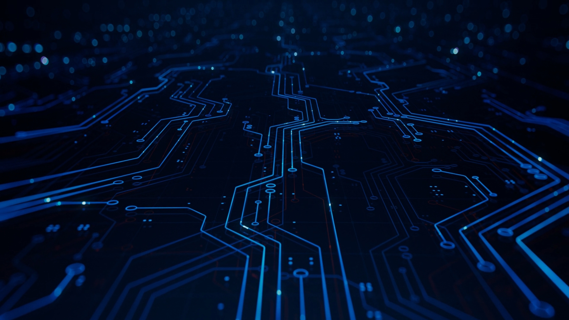 Shaping the future of Business