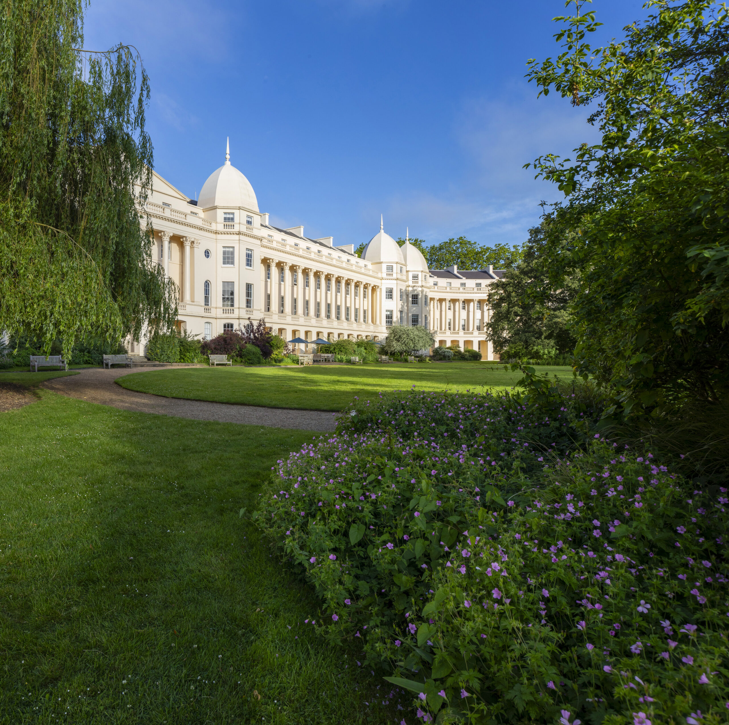 RS23336_Garden 16